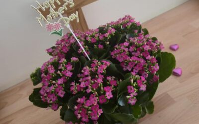 Mother’s Day celebrations