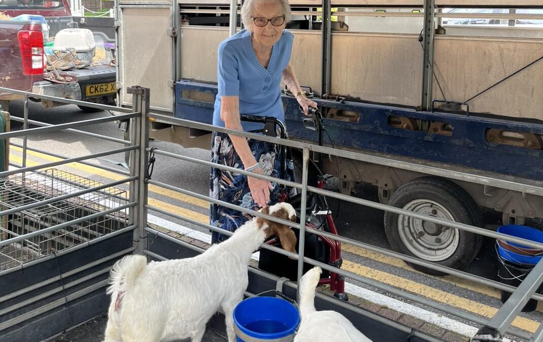 Fishers Mobile Farm visit to Hewlett Court!