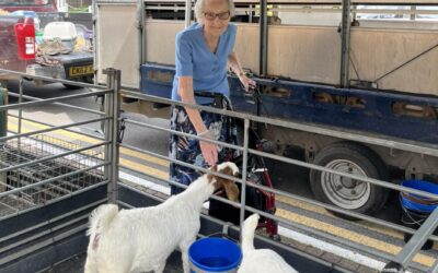 Fishers Mobile Farm visit to Hewlett Court!