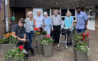 Planting joy in the sunshine