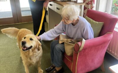 Therapy Dog visit