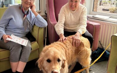Therapy Dogs Nationwide